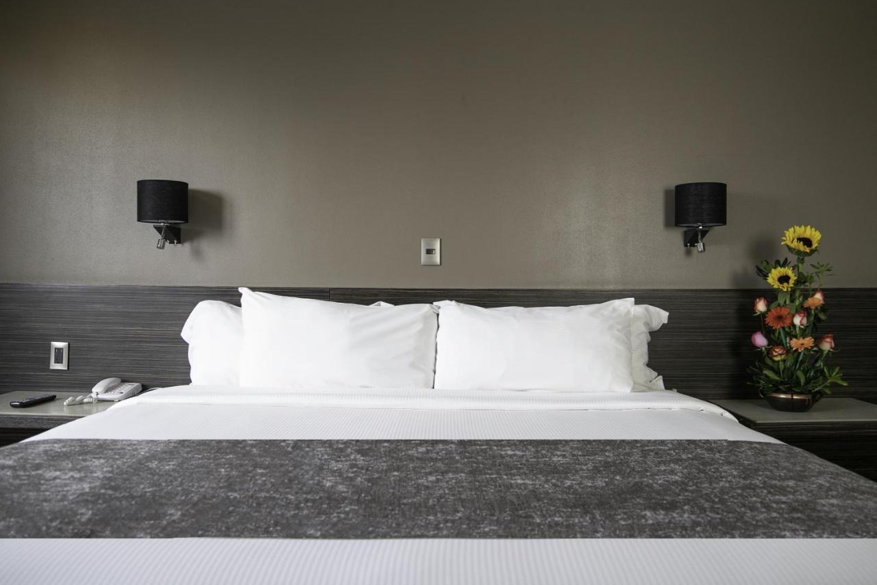 Hotel Brasilia Μεξικό Εξωτερικό φωτογραφία
