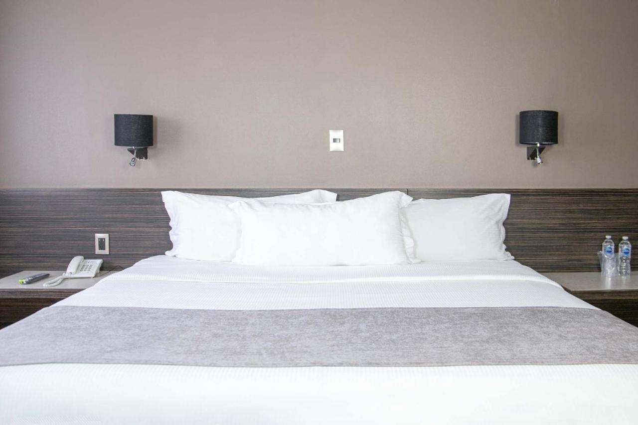 Hotel Brasilia Μεξικό Εξωτερικό φωτογραφία
